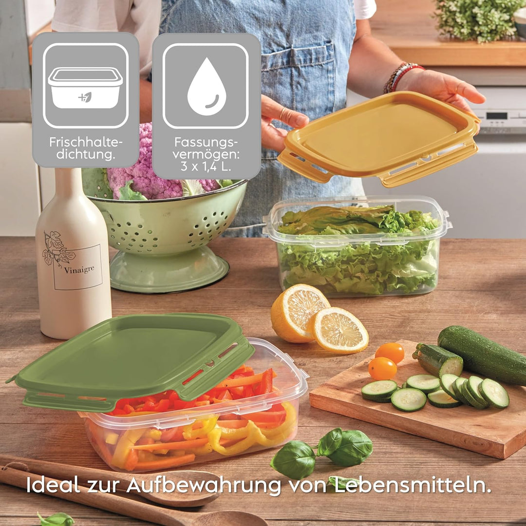 Snips, SnipsLock MIXCOLOR, Set 3 Vorratdosen, 3 x 1,4 LT, Rechteckig, 23,5 x 18,5 x 11 cm Voratdosen