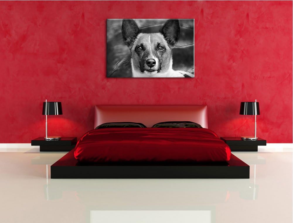 Pixxprint niedlicher Hund im Wasser auf Leinwand, XXL riesige Bilder fertig gerahmt mit Keilrahmen,