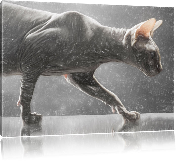 Pixxprint Einzigartige Sphynx Katze / 100x70cm Leinwandbild bespannt auf Holzrahmen/Wandbild Kunstdr