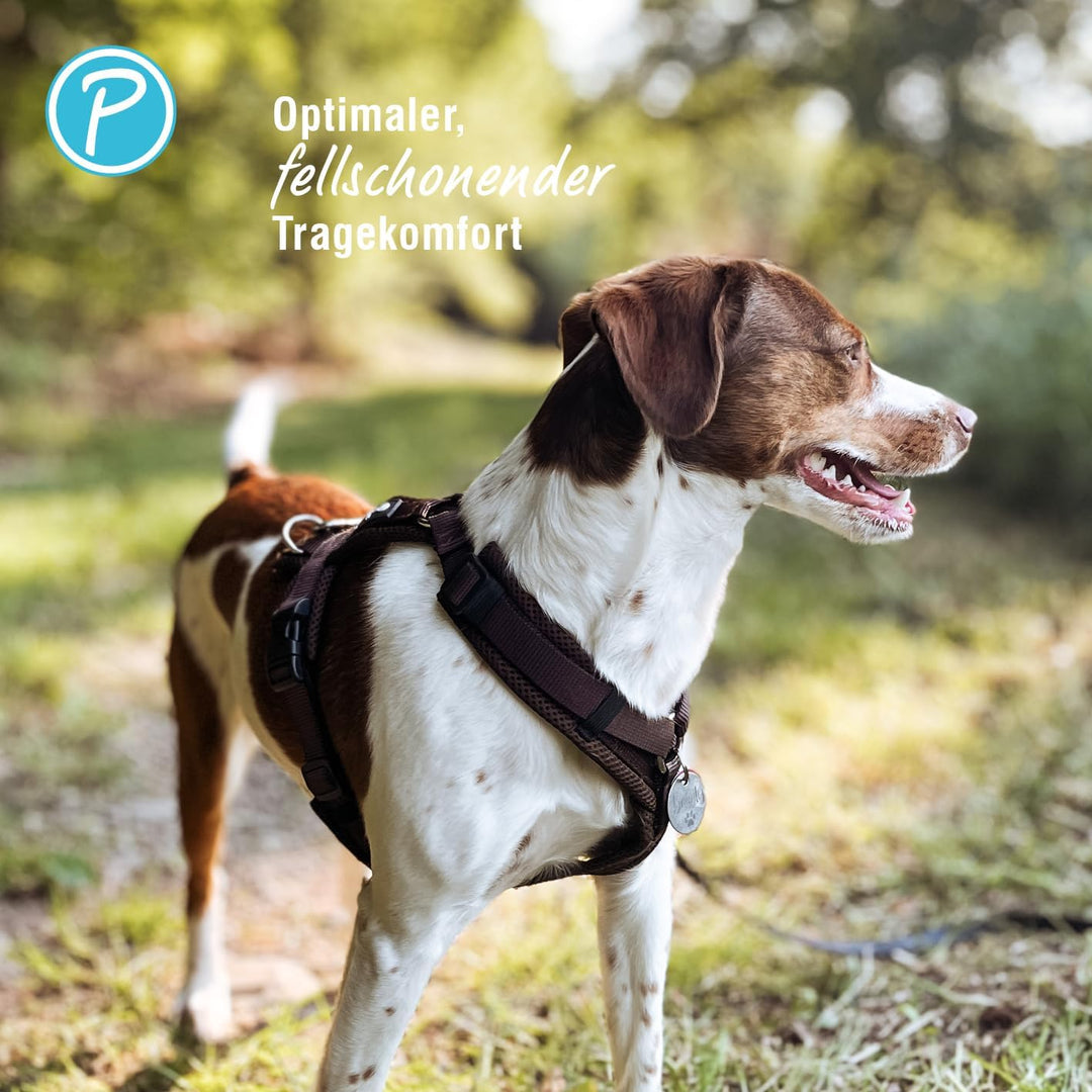 Petlando Hundegeschirr gepolstert, Mesh Y-Comfort, weich, stufenlos verstellbar, besonders leicht &amp;