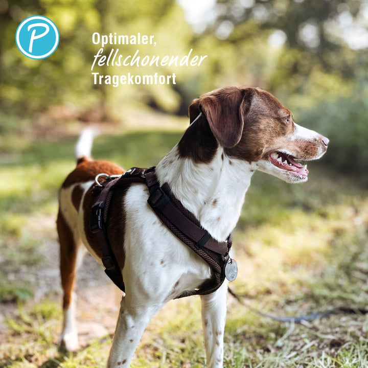 Petlando Hundegeschirr gepolstert, Mesh Y-Comfort, weich, stufenlos verstellbar, besonders leicht &amp;