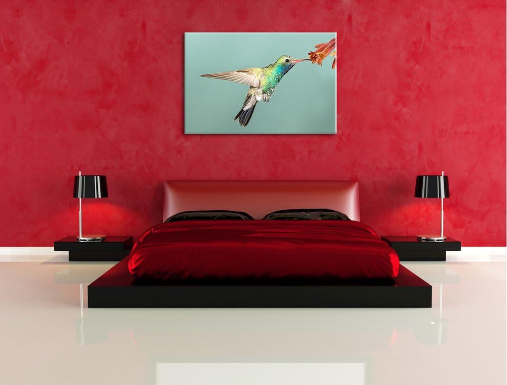 Pixxprint Bunter Kolibri Format: 100x70 auf Leinwand, XXL riesige Bilder fertig gerahmt mit Keilrahm