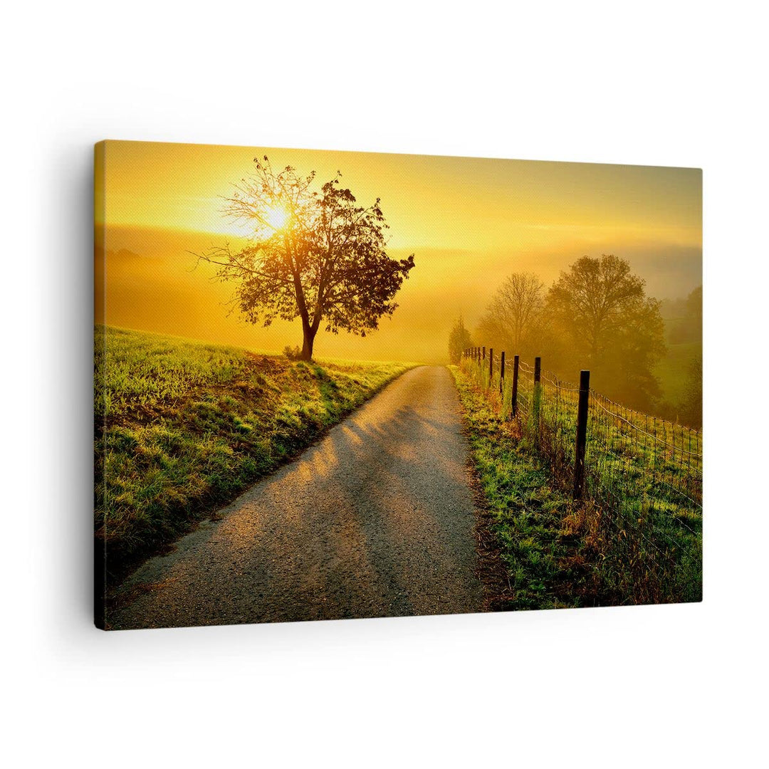 Bilder auf Leinwand Feld Strasse Baum Leinwandbild mit Rahmen 70x50cm Wandbilder Dekoration Wohnzimm
