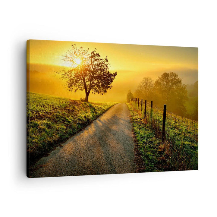 Bilder auf Leinwand Feld Strasse Baum Leinwandbild mit Rahmen 70x50cm Wandbilder Dekoration Wohnzimm