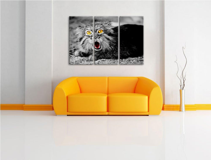 scheue Manul schwarz/weiss Deluxe 3-Teiler Leinwandbild 120x80 Bild auf Leinwand, XXL riesige Bilder