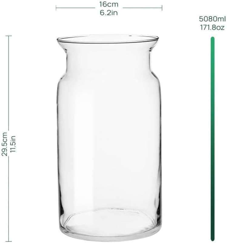TREND FOR HOME Grosse Glasvase Hoch 29.5 cm Blumenvase Gross Bodenvase Glas Grosse Vase Amaryllis Va