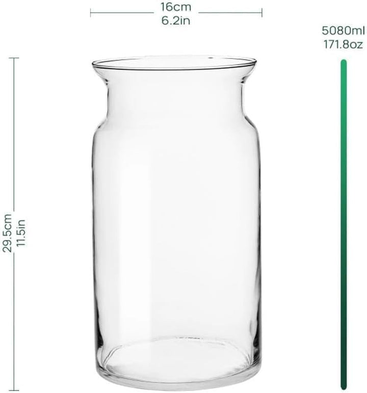 TREND FOR HOME Grosse Glasvase Hoch 29.5 cm Blumenvase Gross Bodenvase Glas Grosse Vase Amaryllis Va