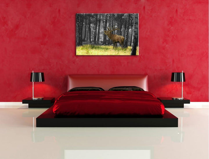 röhrender Hirsch im Wald schwarz/weiss Format: 100x70 auf Leinwand, XXL riesige Bilder fertig gerahm