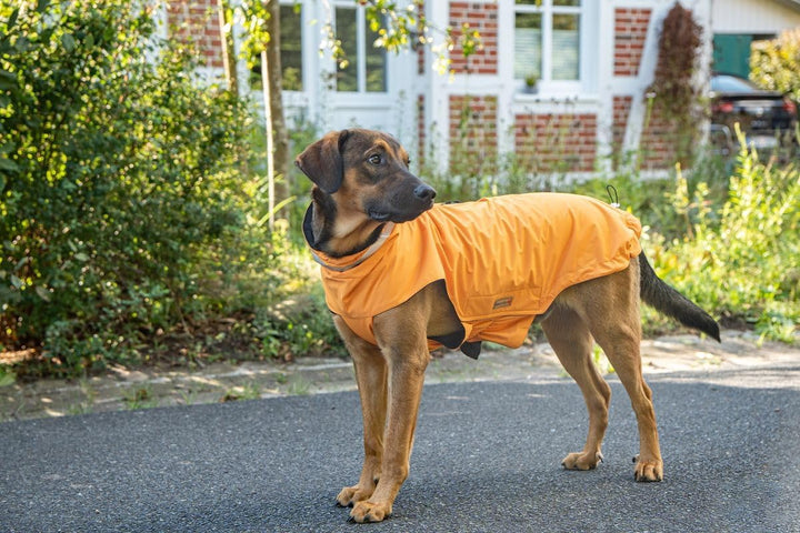 WOLTERS Outdoorjacke Modern Classic 38 cm orange, 38 cm orange