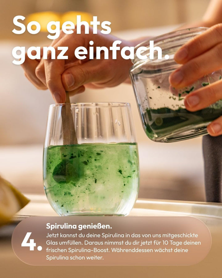 MySpirulina Anzucht-Starterset – Frische Spirulina selbst anbauen, vollautomatisches Home-System für