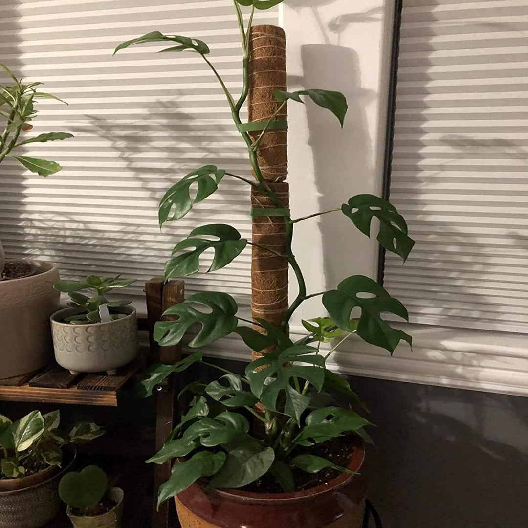 4 Stück Moosstab, 30cm Pflanzstab Kokos Moosstab, Monstera Rankhilfe, für Pflanzenklettern, Hausgart