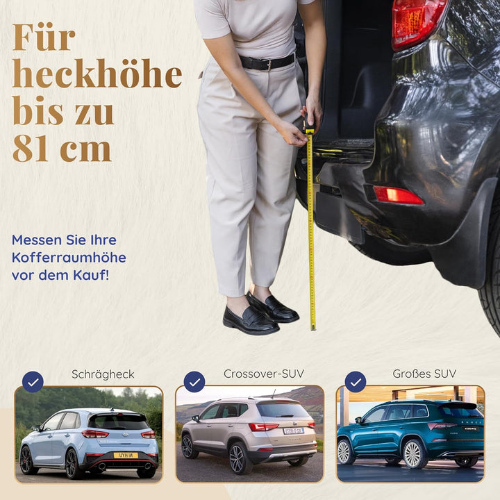 Hunderampe Auto Klappbar – 174 cm Lang & 38 cm Breit – rutschfeste Gummi Rampe für grosse Hunde – St