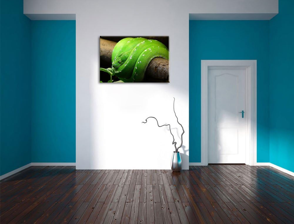 Grüne exotische Schlange, Format: 100x70 auf Leinwand, XXL riesige Bilder fertig gerahmt mit Keilrah