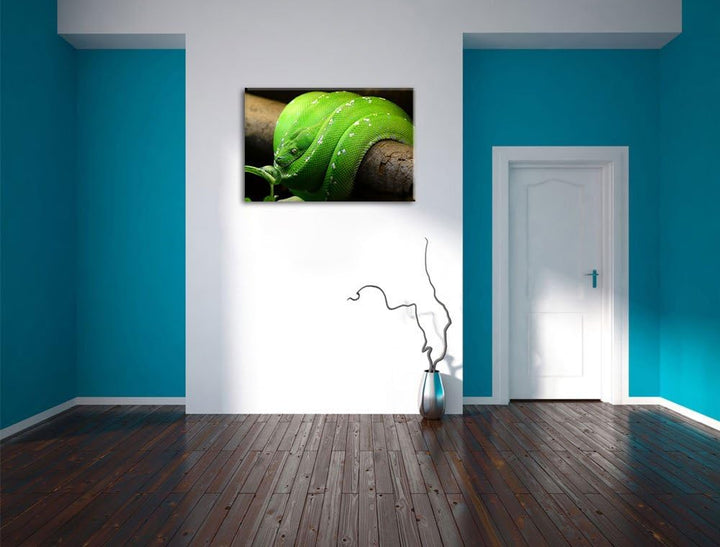 Grüne exotische Schlange, Format: 100x70 auf Leinwand, XXL riesige Bilder fertig gerahmt mit Keilrah