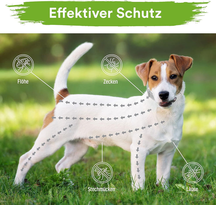 MC-Royal® Zeckenhalsband für kleine Hunde und Katzen - Effektiver Schutz vor Ungeziefern - wasserdic