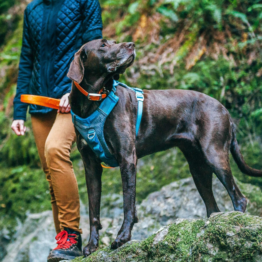 Kurgo Journey Air Hundegeschirr, Mit gepolstertem Brustteil und Rückgriff, Für Hunde von 23-34 kg, G