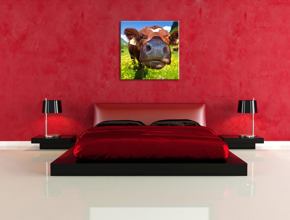 Pixxprint Alpen Kuh auf Bergwiese als Leinwandbild/Grösse: 70x70 cm/Wandbild/Kunstdruck/fertig bespa