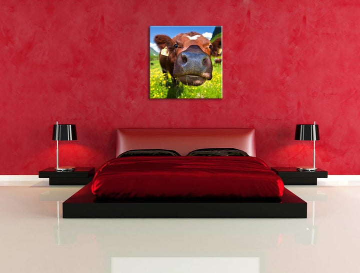 Pixxprint Alpen Kuh auf Bergwiese als Leinwandbild/Grösse: 70x70 cm/Wandbild/Kunstdruck/fertig bespa