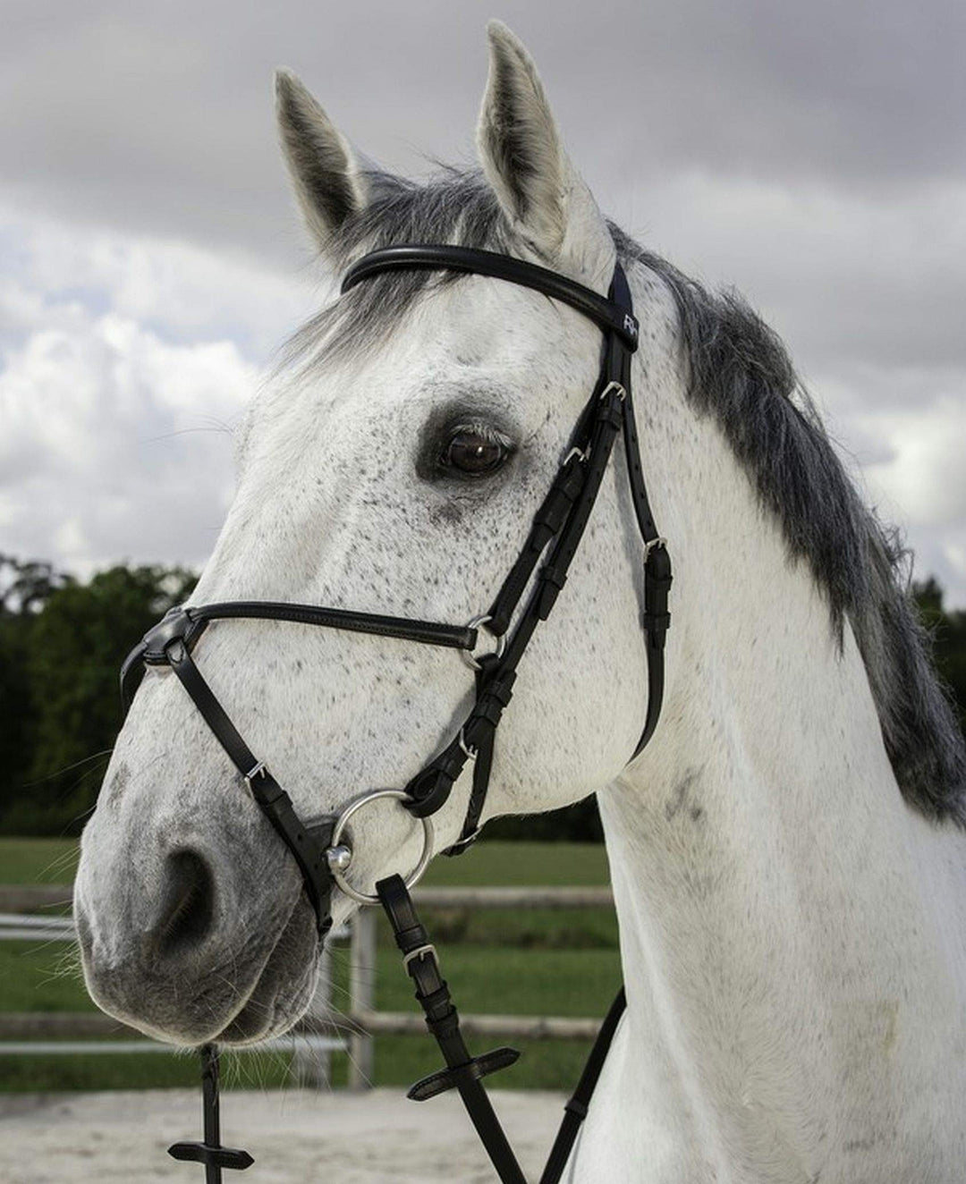 RIDING WORLD Trense Reithalfter gelbbraun Cob, gelbbraun Cob