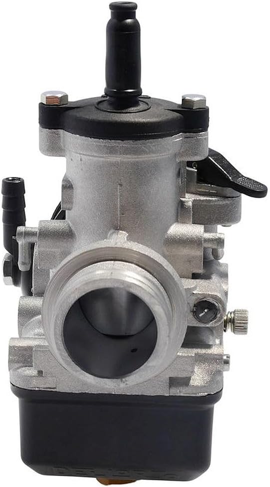 Vergaser Dellorto 28mm / PHBH 28 BS