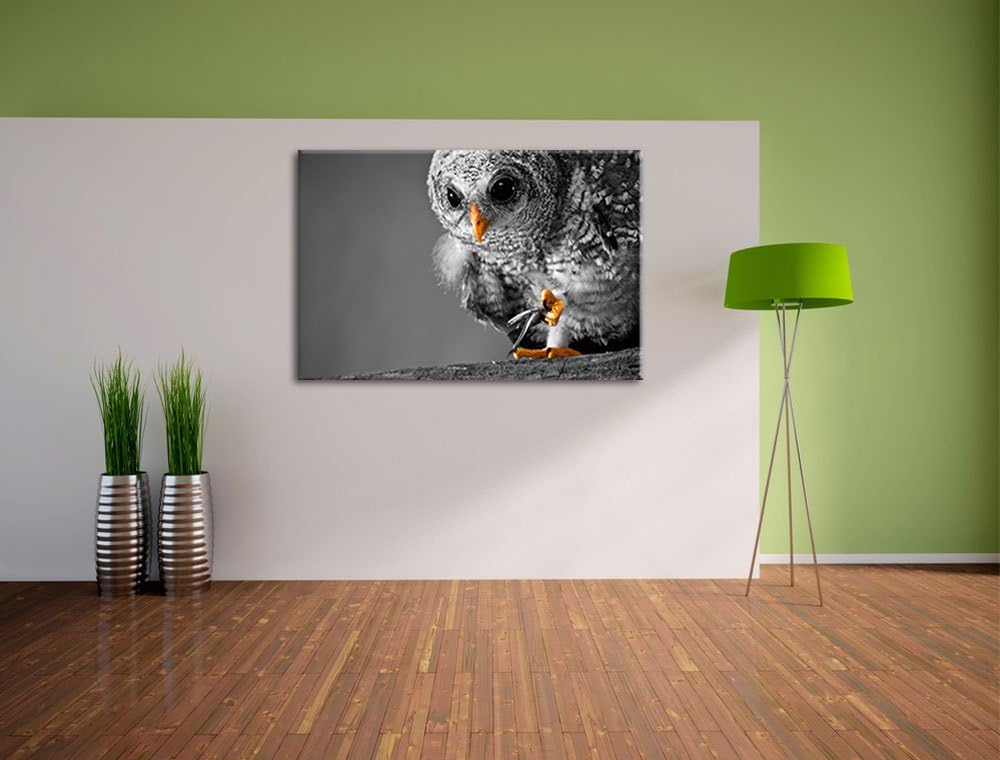Eule mit Grille in ihren Krallen schwarz/weiss Format: 100x70 auf Leinwand, XXL riesige Bilder ferti