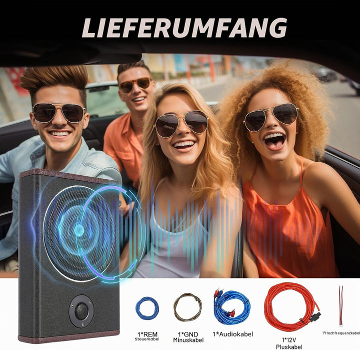 10 Zoll Schlanker Max 600W Subwoofer Aktiv Powered Untersitz-Auto Audio Subwoofer mit Eingebautem Ve