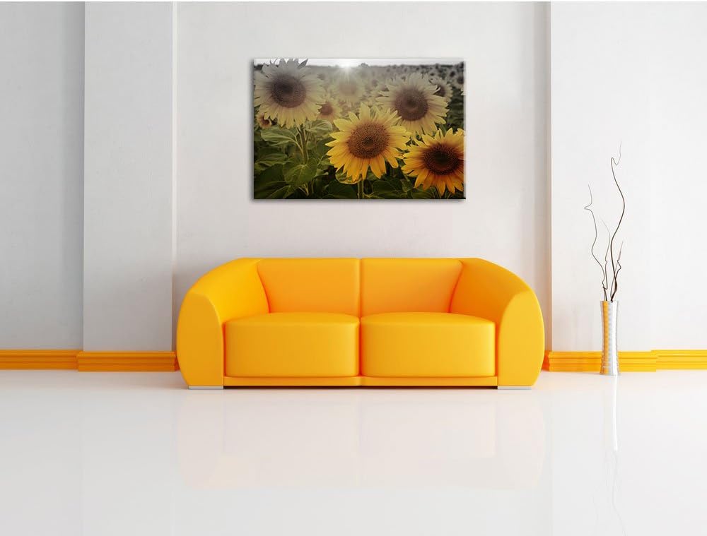 Pixxprint Sonnenblumen auf dem Feld als Leinwandbild | Grösse: 100x70 | Wandbild| Kunstdruck | ferti