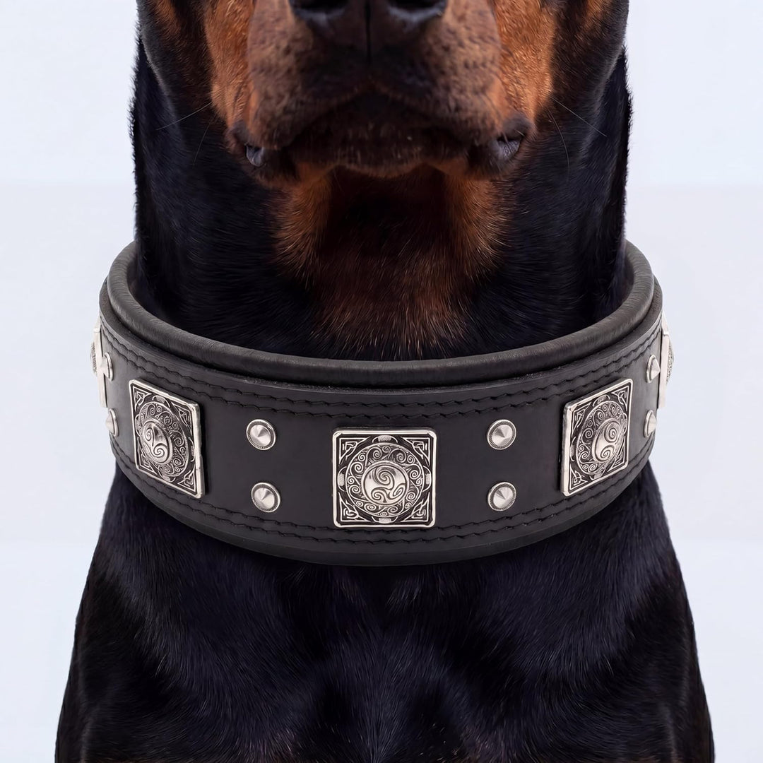 Bestia® EROS Lederhalsband für grosse Hunderassen mit Altsilber Dekoration und weicher Innerpolsteru