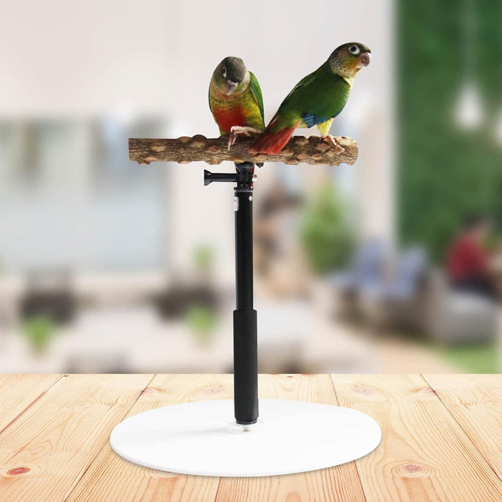 Papageien Sitzstange Holzständer, Bequemes Papageien-Desktop-Ständer, Papageienspielzeug, Einziehbar