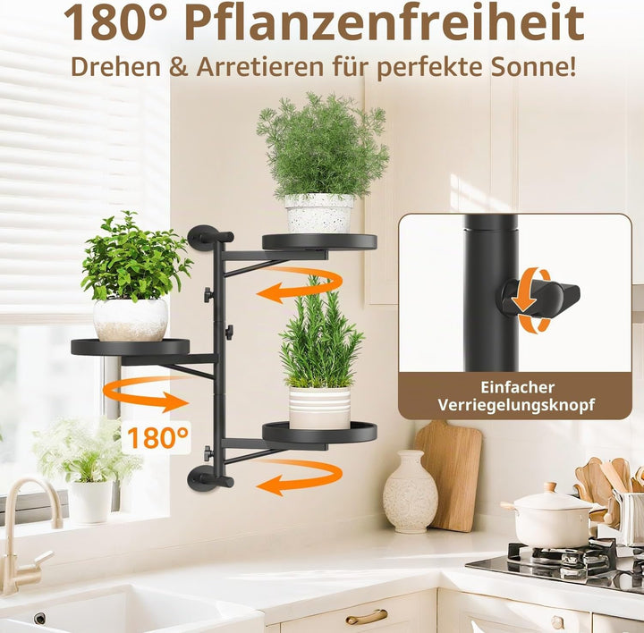 LASZOLA Rotierende Wandmontage Fenster Pflanzen Regale Indoor mit 2 Hängehaken, 3 Ebene schwebende M