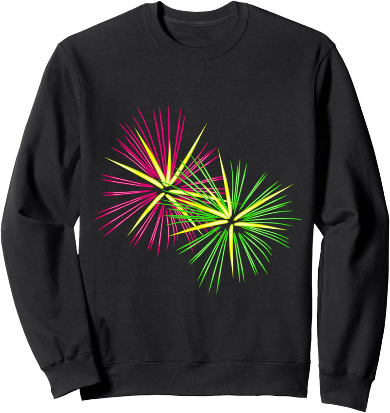 Buntes Feuerwerk Sweatshirt