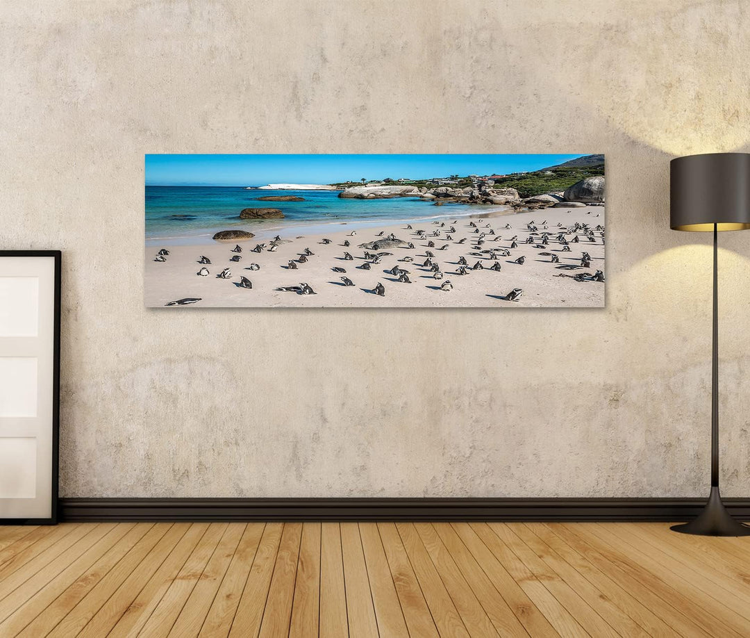 islandburner Bild auf Leinwand Pinguine Kapstadt Südafrika Afrikanischer Strand Bilder Wandbilder Po
