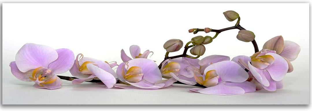 Feeby. Leinwandbild, Bilder, Wand Bild, Wandbilder, Kunstdruck 150x60 cm, ORCHIDEE, NATUR, VIOLETT