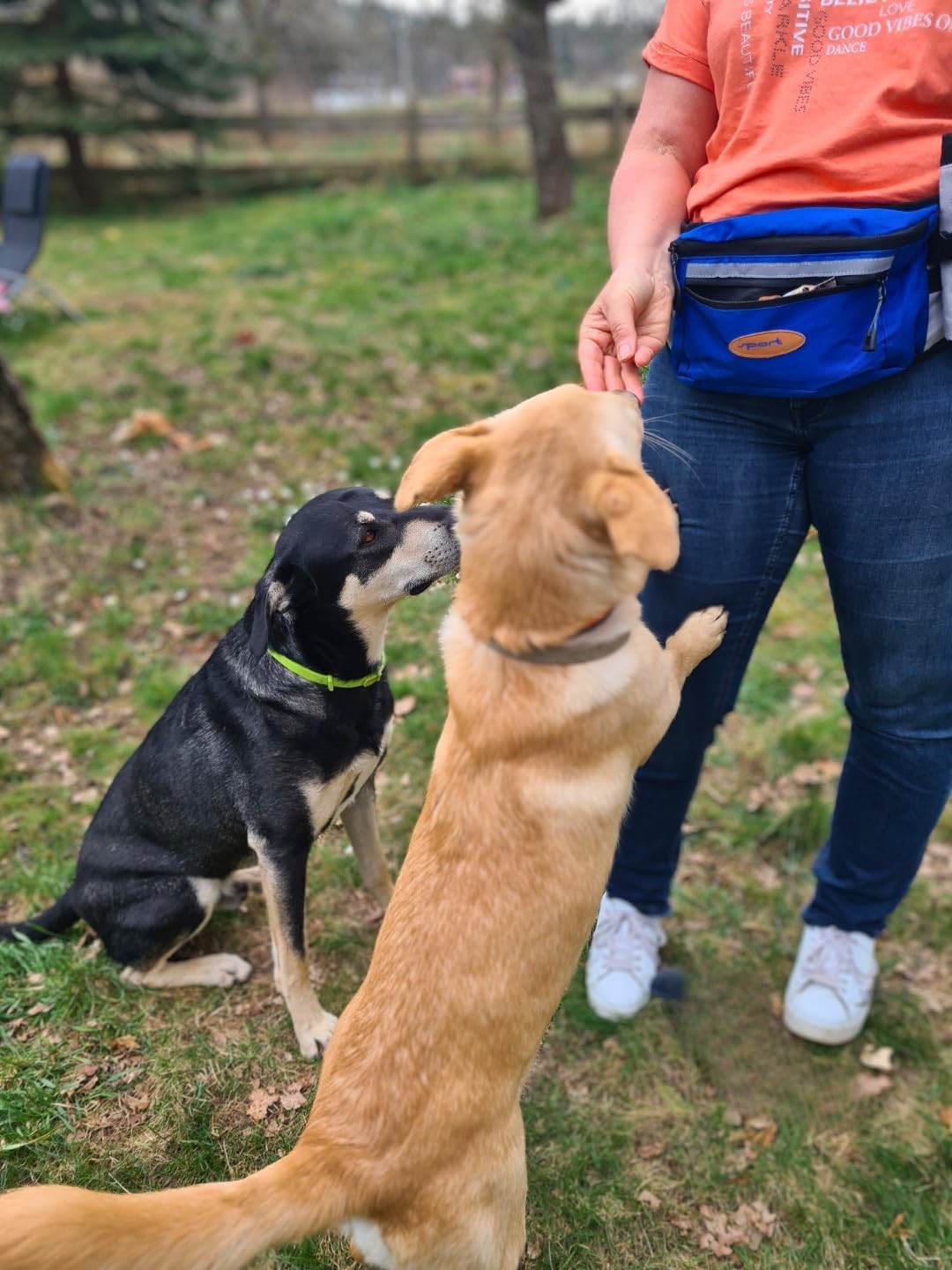 Daily Bag – Hüfttasche mit Trinkflaschenhalterung und Leckerlibeutel für Hundespaziergänge und Hunde