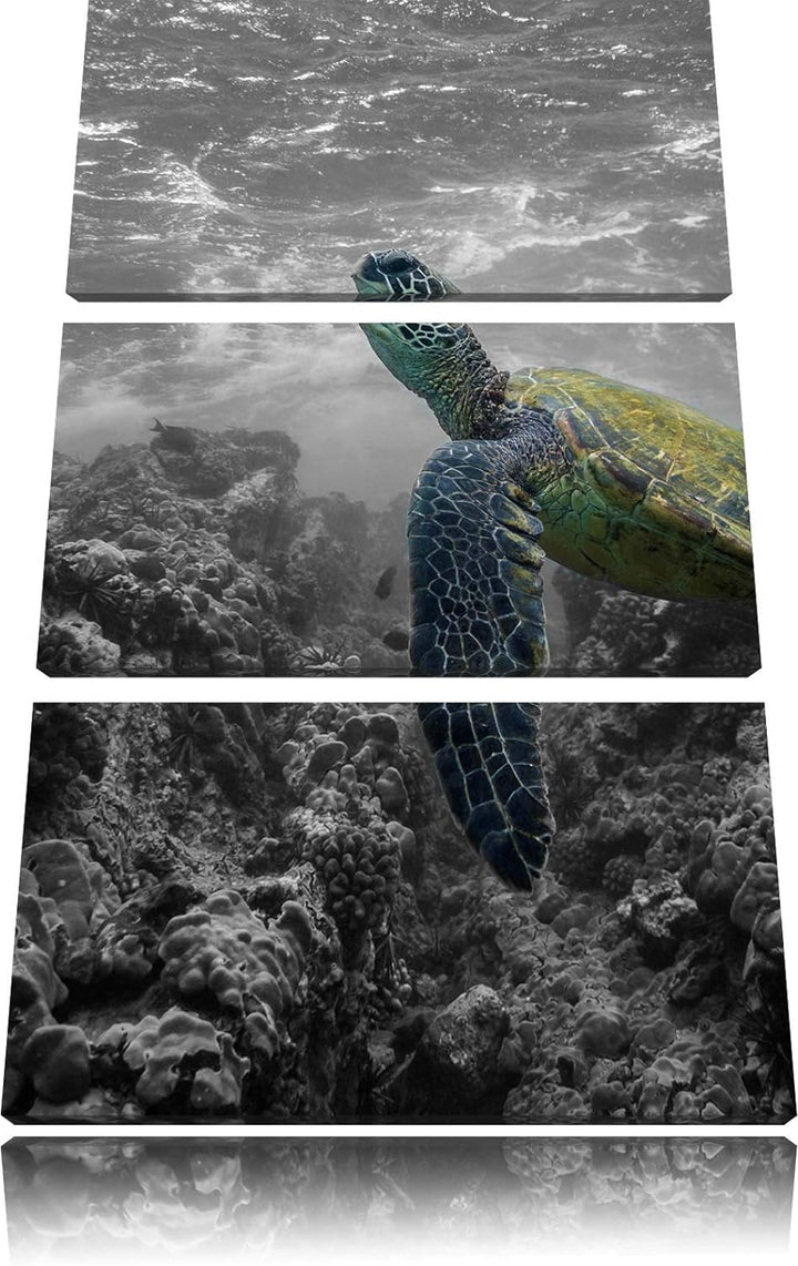 Schildkröte und Korallen im Ozean schwarz/weiss 3-Teiler Leinwandbild 120x80 Bild auf Leinwand, XXL