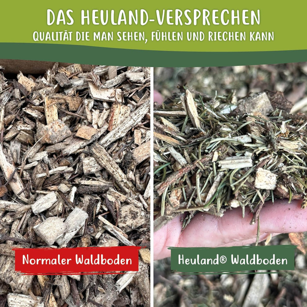 Waldboden Einstreu mit Mais 2X 40 L – natürliches Erlebniseinstreu mit Tannen & Fichtennadeln – Besc
