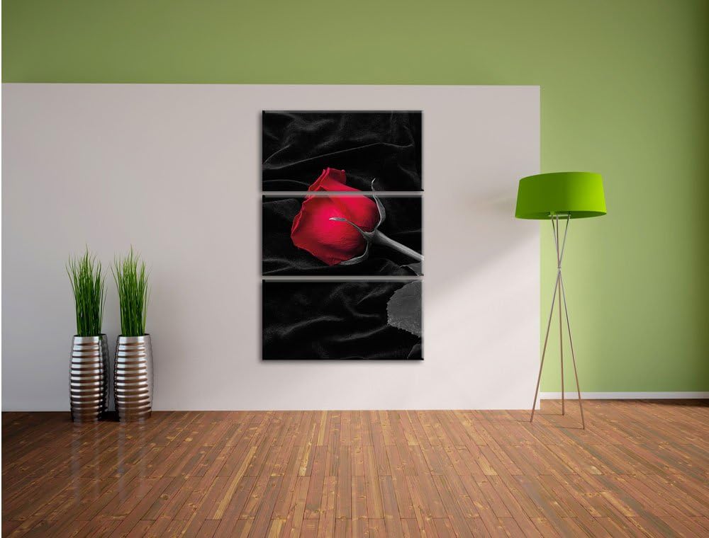 Pixxprint rote Rose gebettet auf schwarzem Samt als Leinwandbild/Grösse: 3 Teilig (120x80 cm) cm/Wan