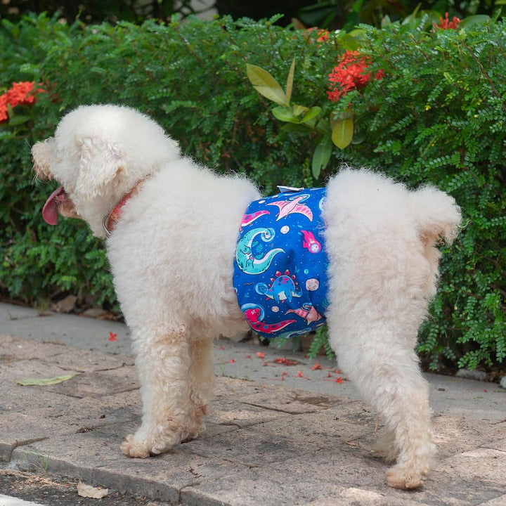 CuteBone Männlich Waschbare Hundewindeln Bauchbänder,3 Stück Wiederverwendbare Hund Bauchband für Rü