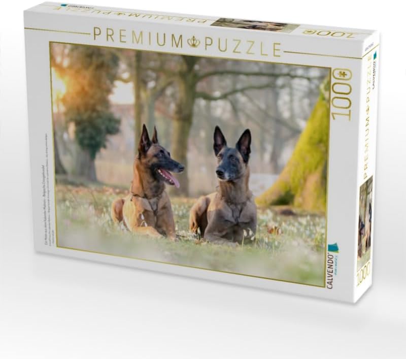 CALVENDO Puzzle Malinois - Belgische Energiebündel 1000 Teile Lege-Grösse 64 x 48 cm Foto-Puzzle Bil