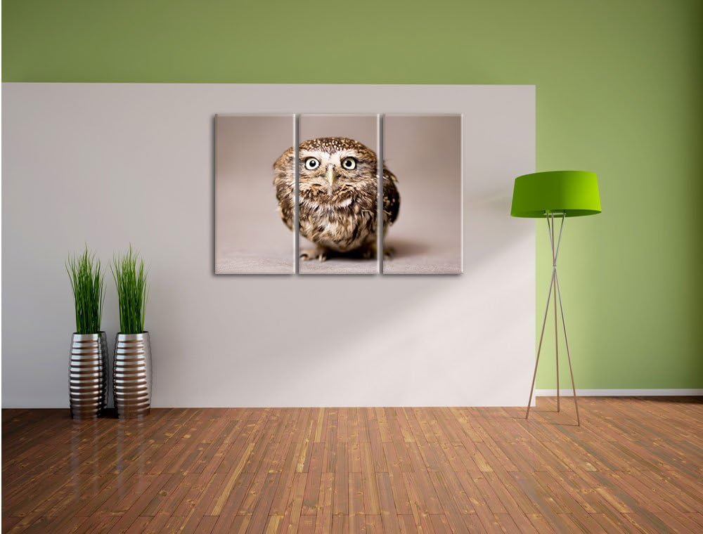 Pixxprint Niedliche Nachteule mit süssem Blick 3-Teiler Leinwandbild 120x80 Bild auf Leinwand
