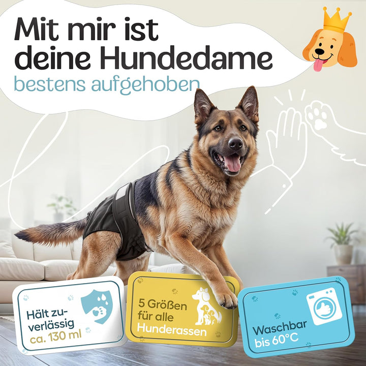HUND IST KÖNIG Hundewindeln für Hündinnen (3 Stück) - Hochabsorbierende Läufigkeitshose für Hündinne
