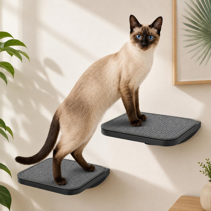 Katzen Kletterwand, Katzenleiter 2er-Set mit Kratzmatte, Wandmontiertes Kiefernholz Katzentreppe Wan