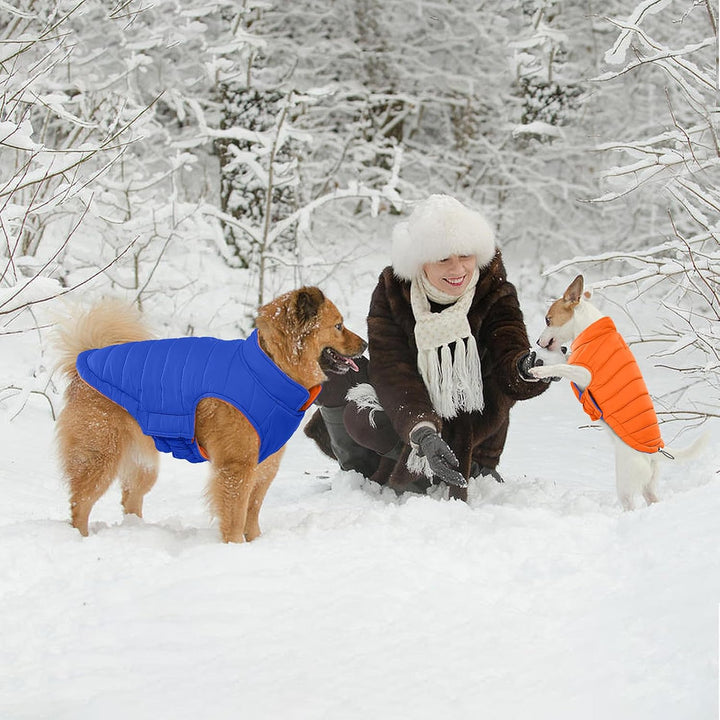 Lelepet Hundemantel Winter Jacke für Kleine Hunde, Wasserdicht Warmer Hunde Winterjacke, Wendbarer W