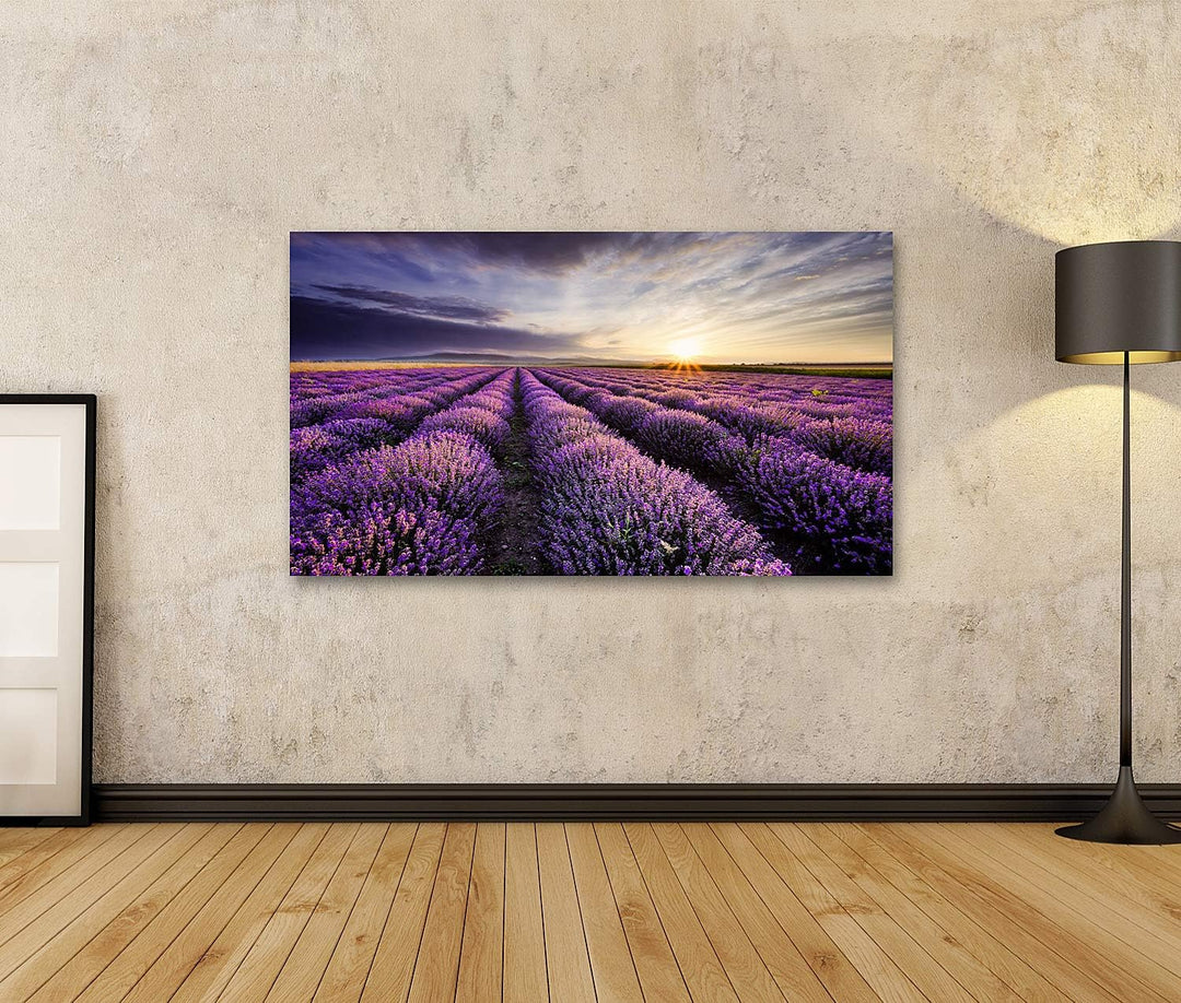 islandburner Bild auf Leinwand Lavendel Sonnenaufgang Dramatische Wolken Über Feld Bilder Wandbilder