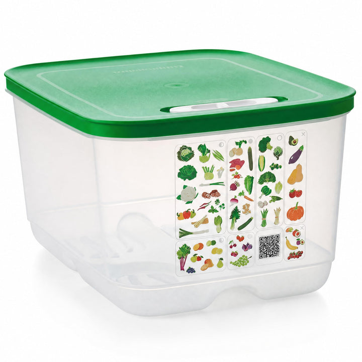 TUPPERWARE Kühlschrank 4,4L dunkelgrün KlimaOase hoch PrimaKlima A183 Klimakönig 10304