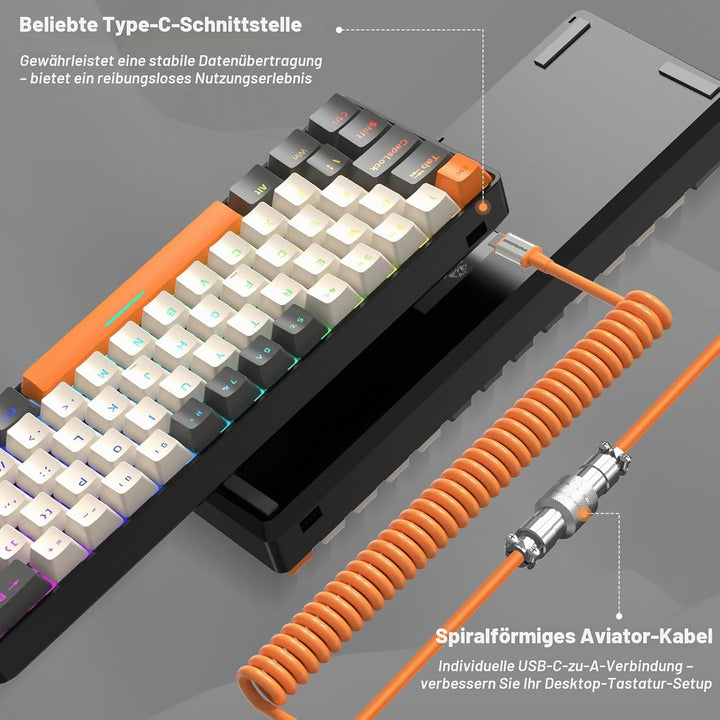 ZIYOU LANG Wired Gaming-Tastatur und Maus Combo mit Spiral USB-C Kabel T60 Pro - Kompakt 60% UK Layo