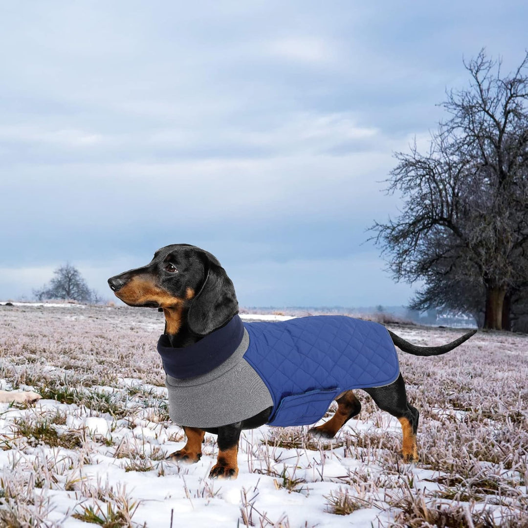 Geyecete Hundemantel Dackel, Dackel Wintermantel, Warmer Quilten Dackelmantel mit Geschirr Loch,Wind