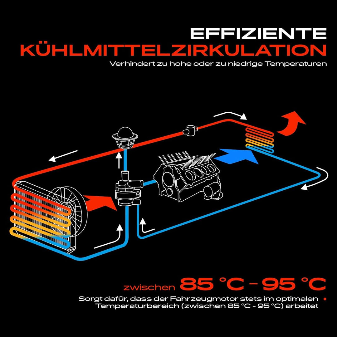 Frankberg Wasserpumpe Kompatibel mit XK8 Convertible X100 4.2L 2002-2006 Omega A 16 17 19 2.6L 3.0L