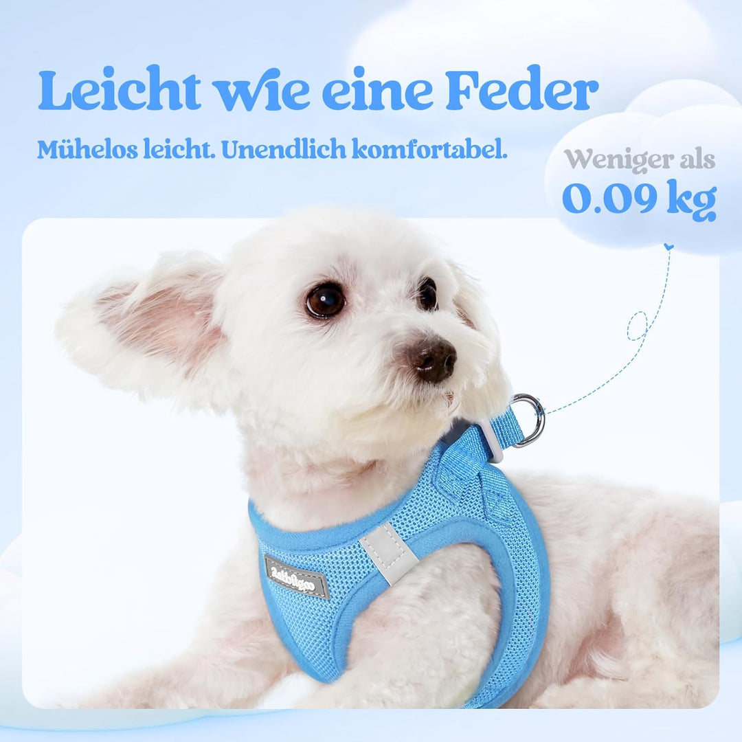 rabbitgoo Hundegeschirr Kleine Hunde mit Leine, Step-in Welpengeschirr Weich Mesh für Spaziergänge,