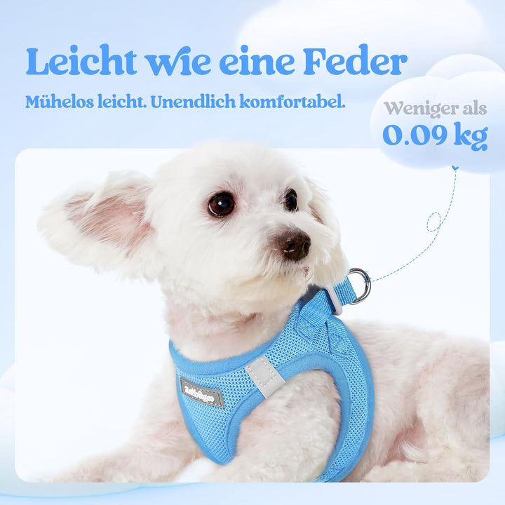 rabbitgoo Hundegeschirr Kleine Hunde mit Leine, Step-in Welpengeschirr Weich Mesh für Spaziergänge,